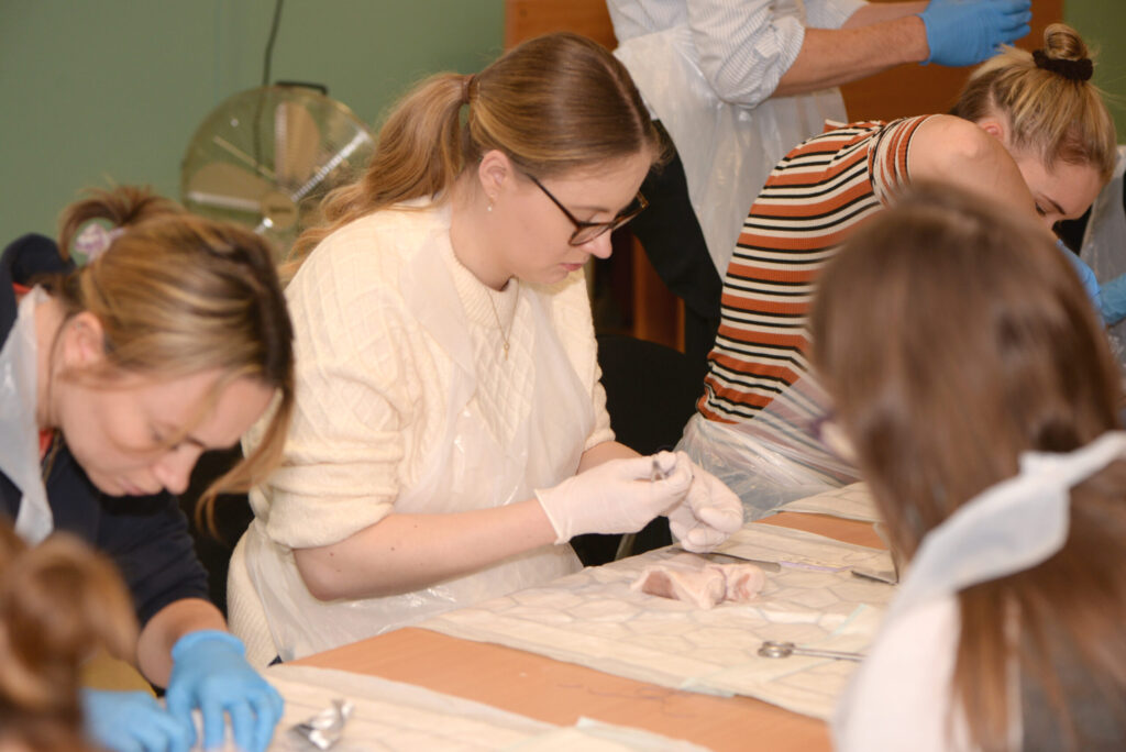 Delegates working on animal-tissue models
