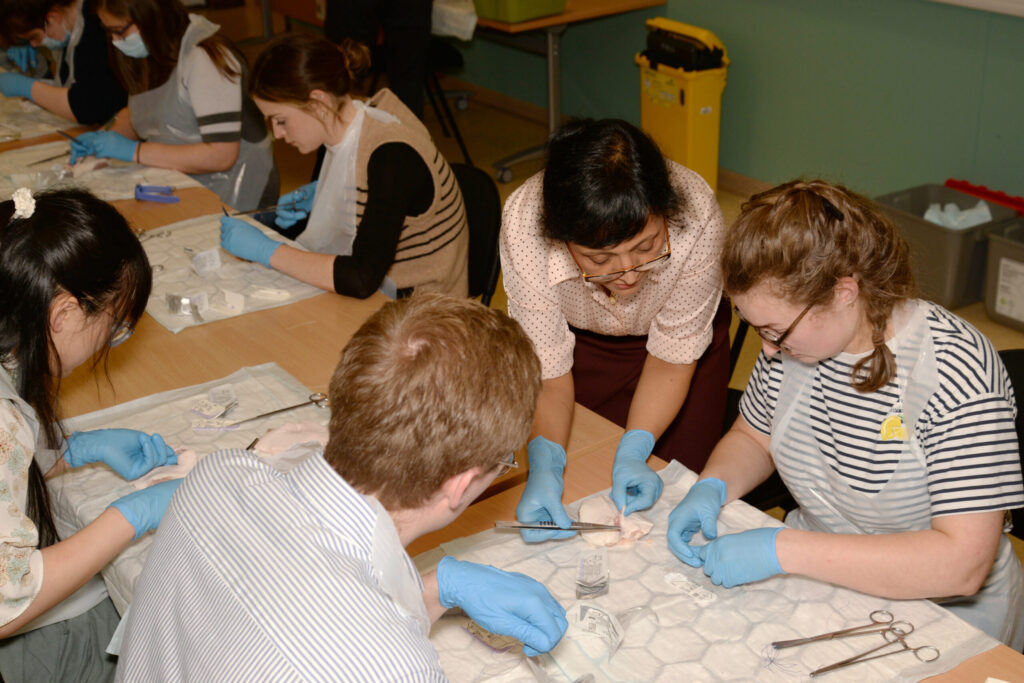 The animal-tissue workshop in progress